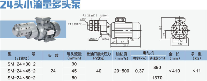 24頭小流量多頭泵-01_副本.jpg
