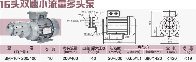 16頭雙速小流量多頭泵_副本.jpg